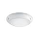  POLAR 312 BLC LED 18W/3000K 