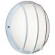 Dune grille E27 SSL AV blanc 